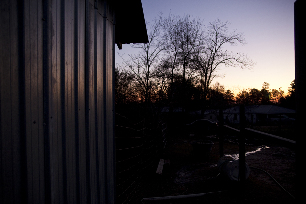 A Farm Sunrise []