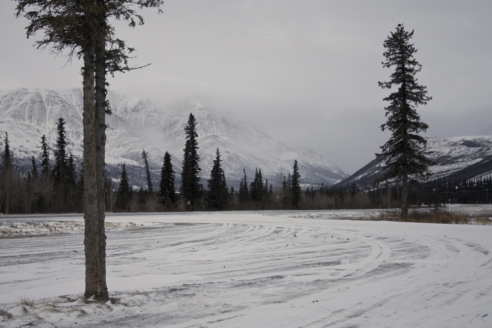 Snow Tracks [2009]