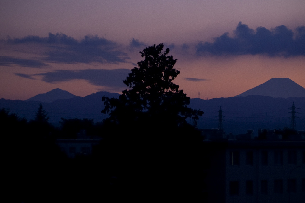 Clouds, Trees, and Mount Fuji [2011]