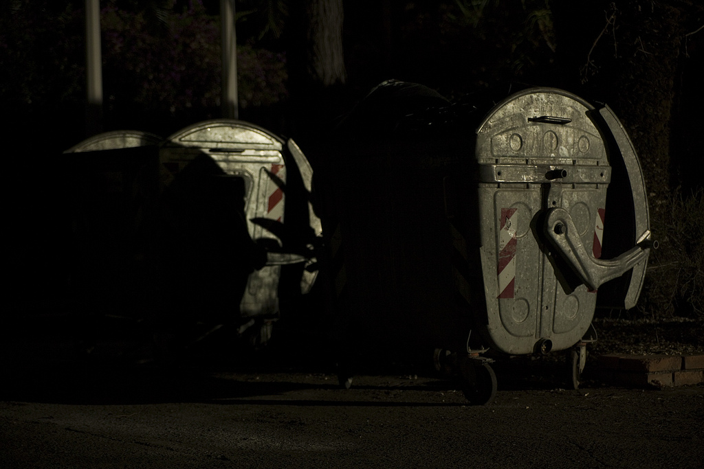 Trash Bins at Night [2011]