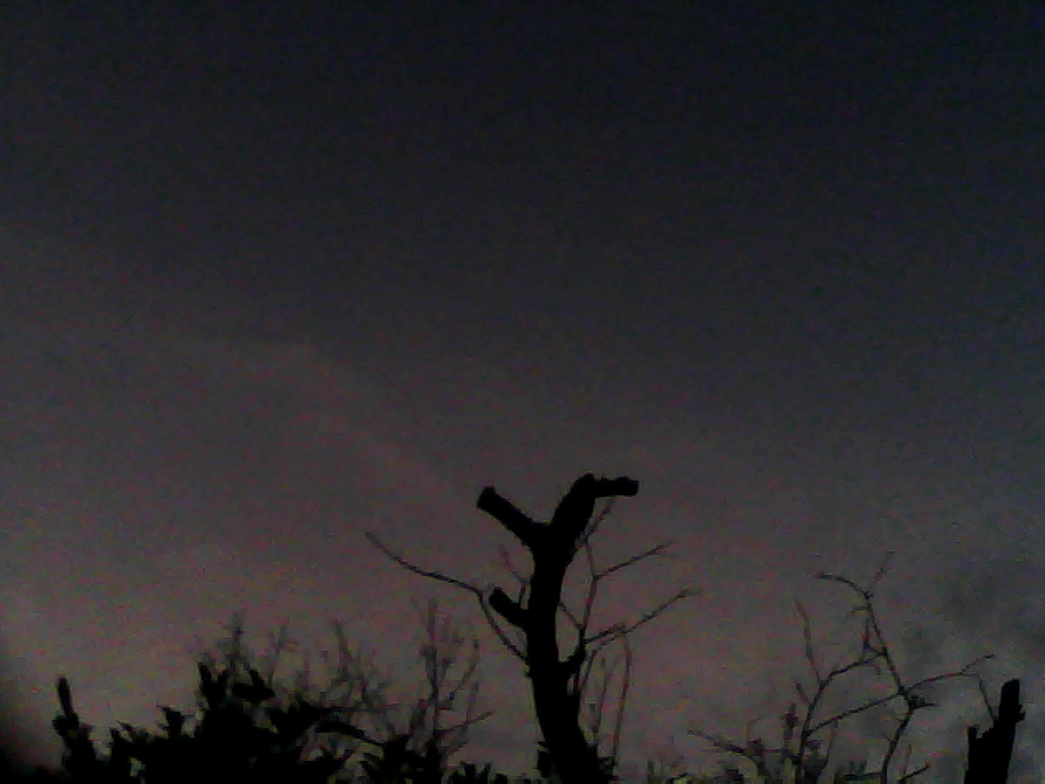 062926_pict0004.jpg [2026]